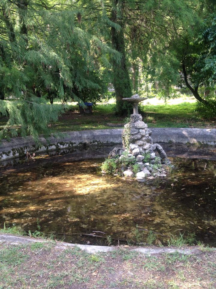 Марина Волкова |