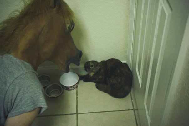 Алексей Сергеев | Санкт-Петербург