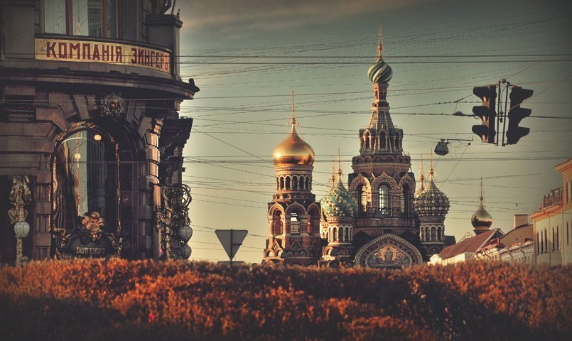 Дарья Пасова Викторовна | Санкт-Петербург