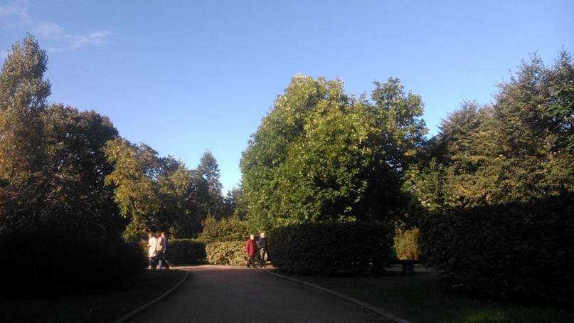 Ольга Трудкова | Санкт-Петербург