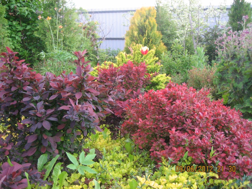 Ирина Голубкова | Санкт-Петербург