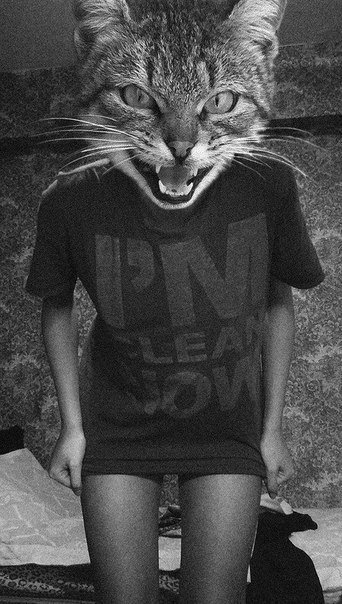 Карина Вылегжанина |