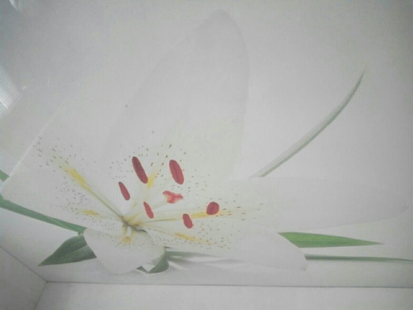 Александр Маслов | Саратов