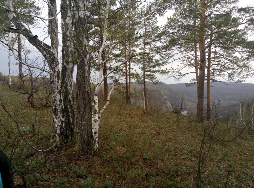 Артур Ибрагимов | Зирган