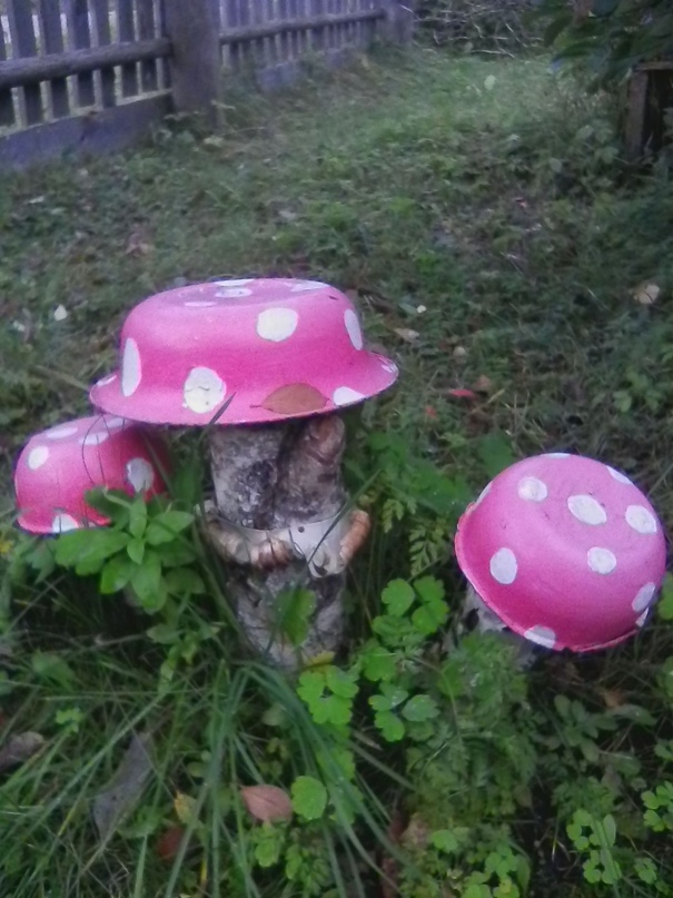 Мария Шиловская | Вологда