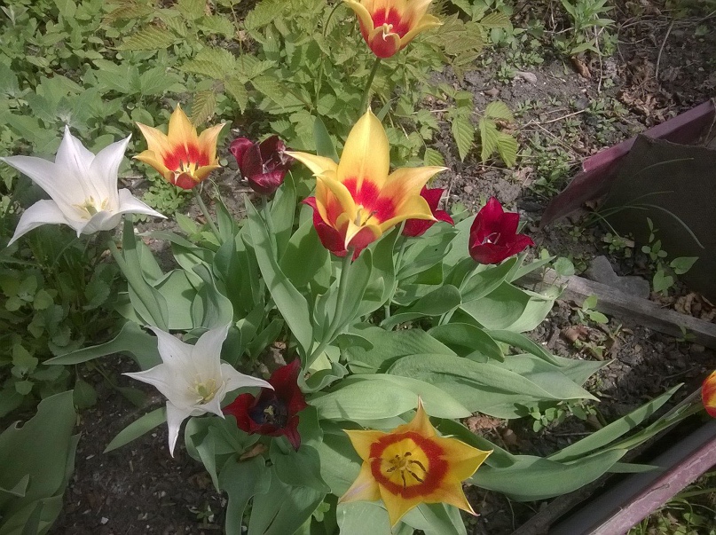 Татьяна Зенина | Железногорск