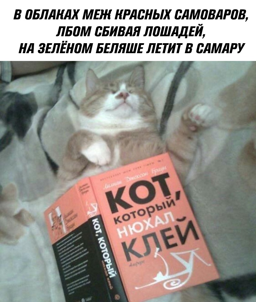 Кот, который нюхал клей