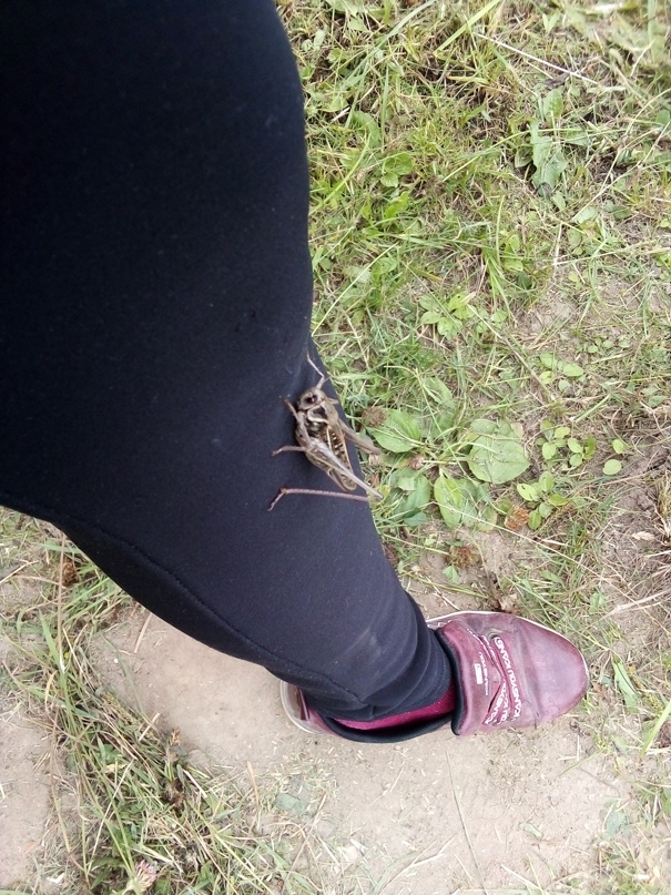 Валерия Мишина | Киров