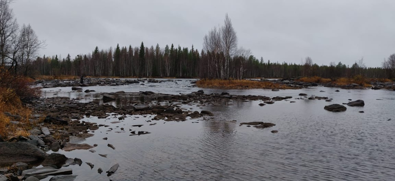 Алексей Мазур | Жуковка