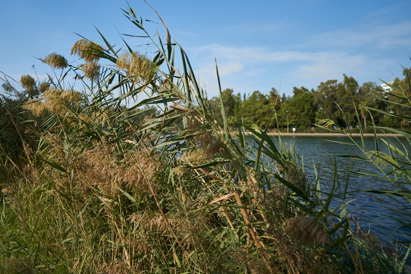 Константин Камышников | Москва