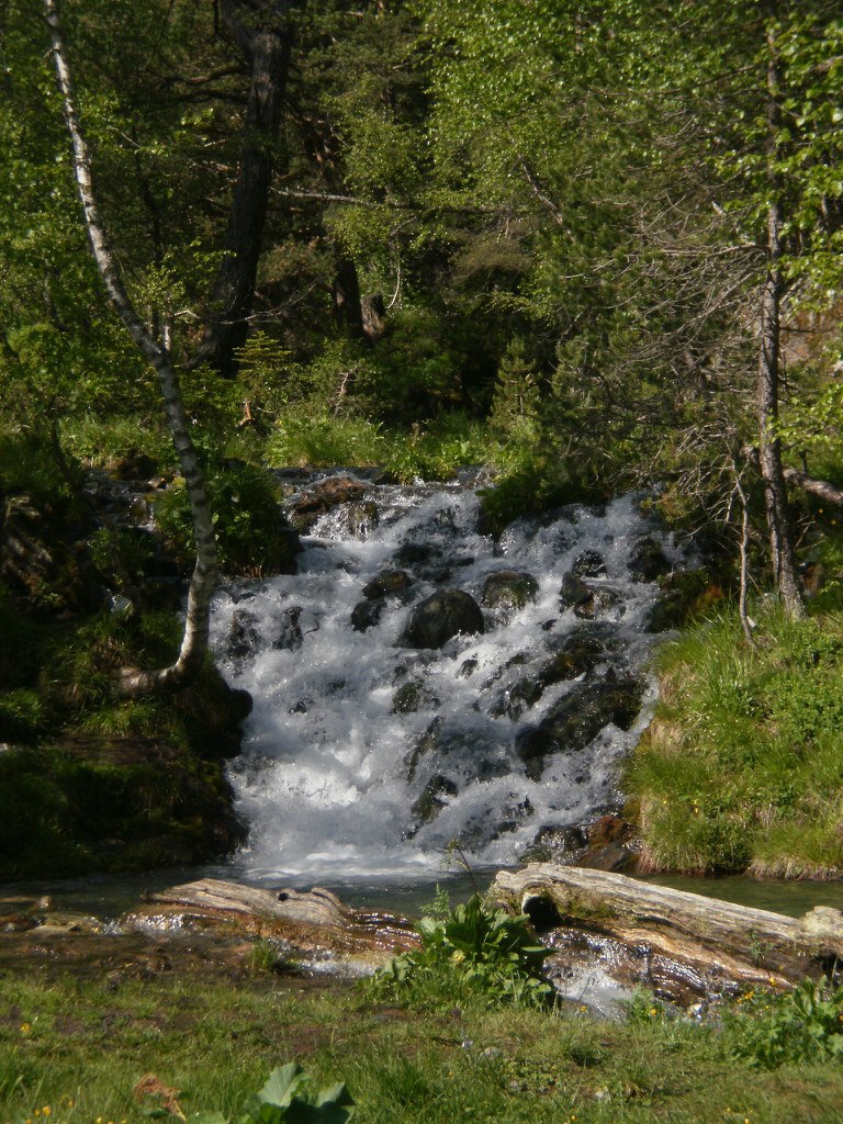 Павел Колесников | Волгоград