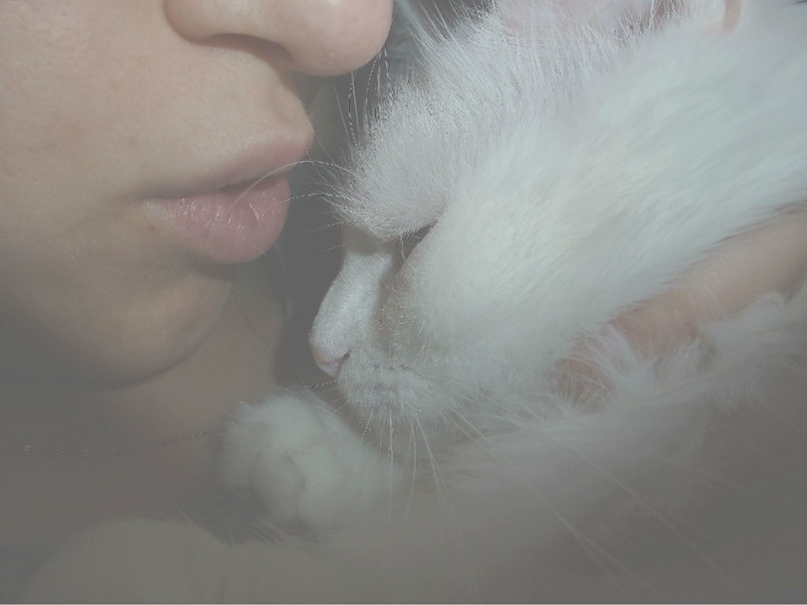 Диана Леонова | Тольятти