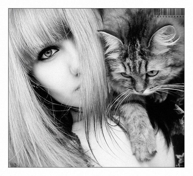 Виталий Савицкий | Сафоново