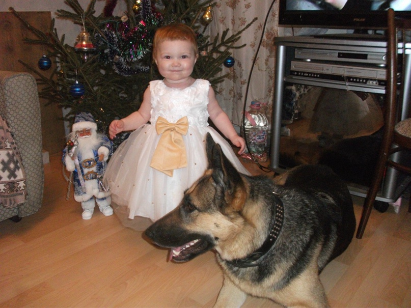 Евгений Савельев | Новоаннинский