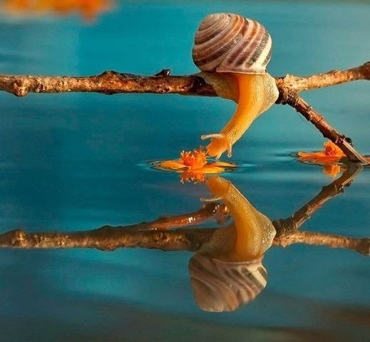 Оксана Тихомирова | Ярославль