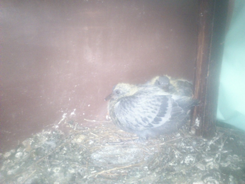 Виталий Курбатов | Энергодар