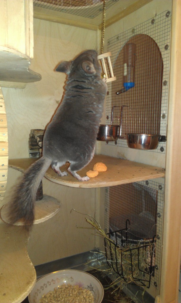 Антон Омельяненко | Москва