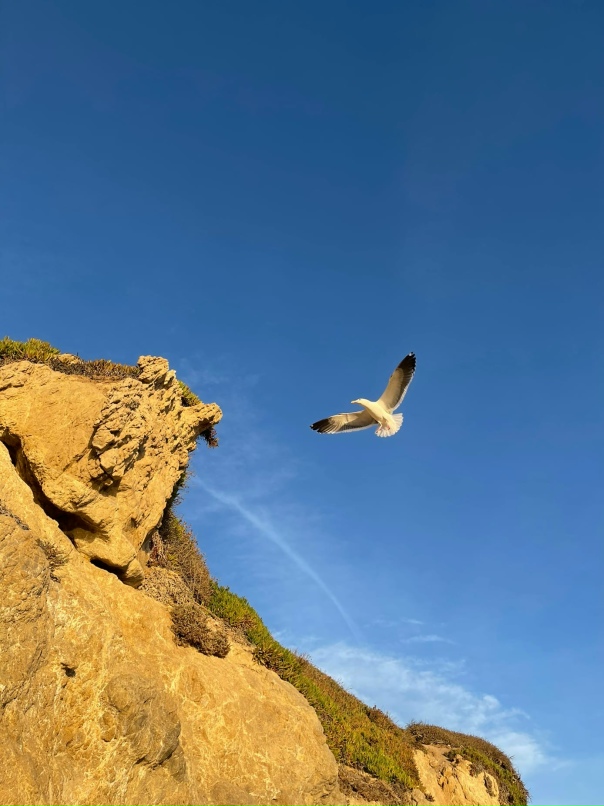 Александра Зырянова | Санкт-Петербург