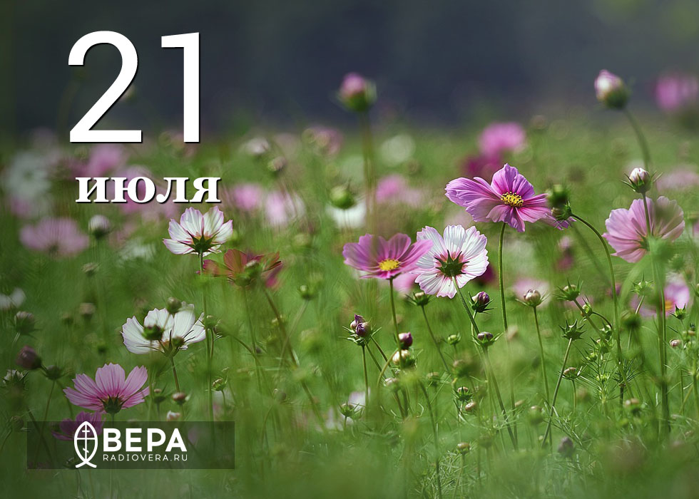 Какой цвет месяц июль фото Какой цвет месяц июль фото