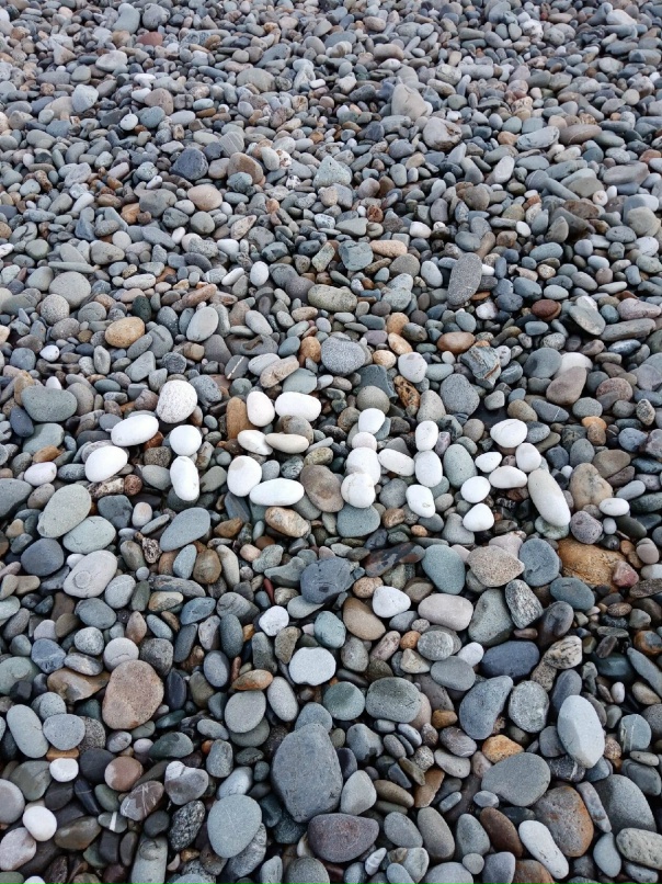 Елена Бурдина | Осиновик