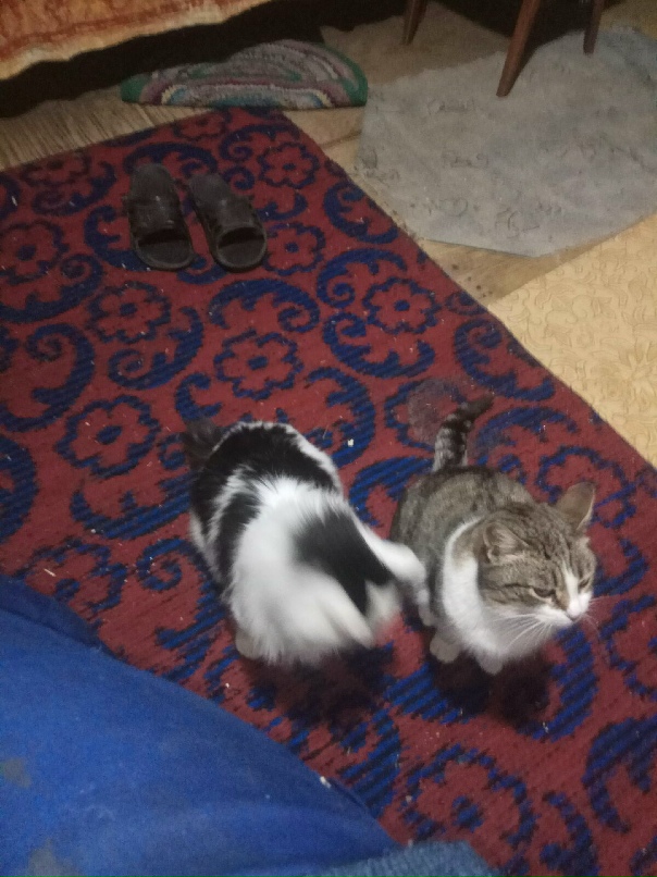 Григорий Иванов | Великий Новгород