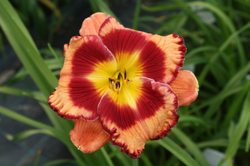 Михаил Аббакумов | Москва