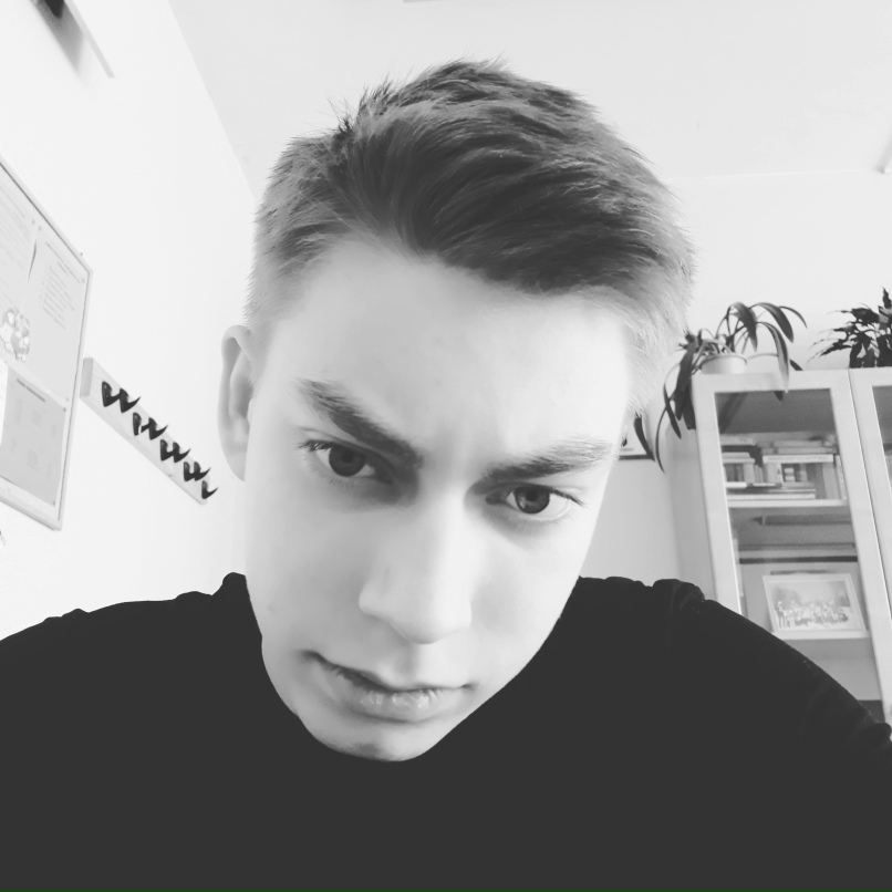 Артем Бровкин | Петрозаводск