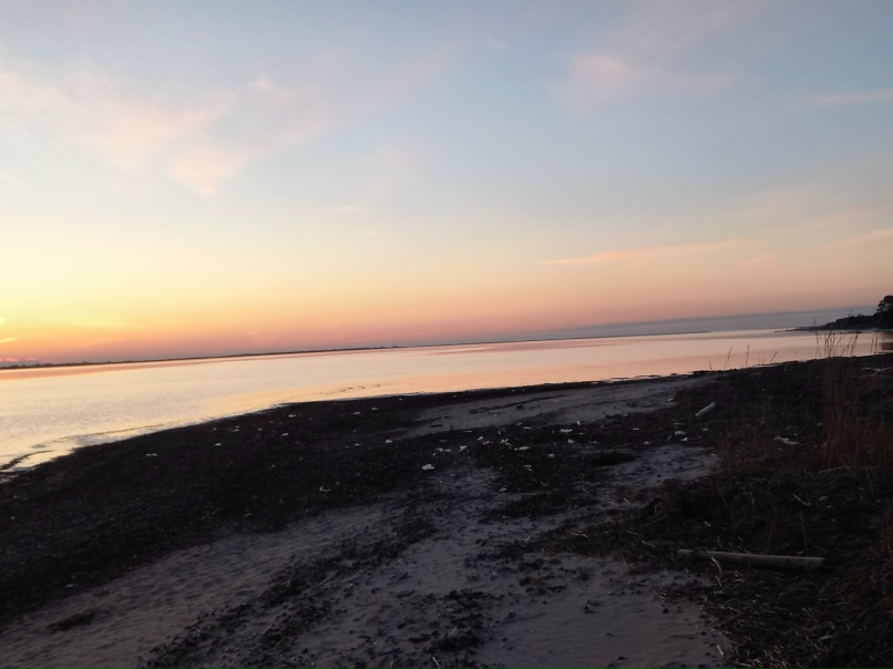 Артем Павлович | Архангельск