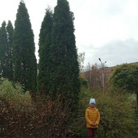 Екатерина Березкина |