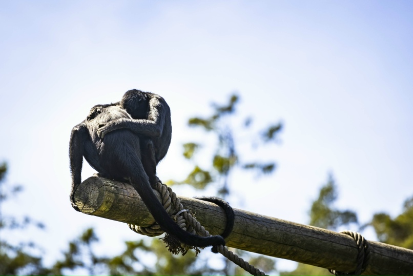 Pavel Storozhuk | Knappstad