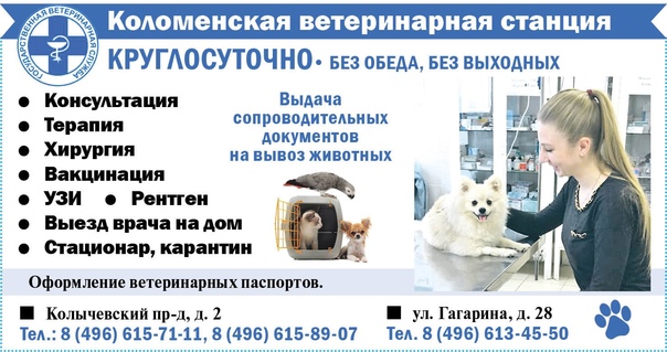 Панорама: Здоровье-1, ремонт медицинской техники, Ветеринарная ул., 2, Коломна -