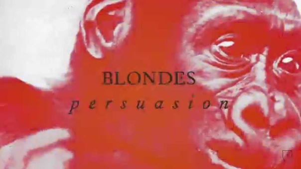 Blondes Persuasion ( Official