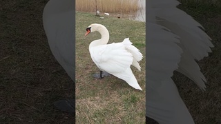 Приятная встреча