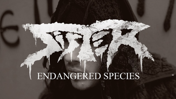 Sister Endangered Species ( OFFICIAL