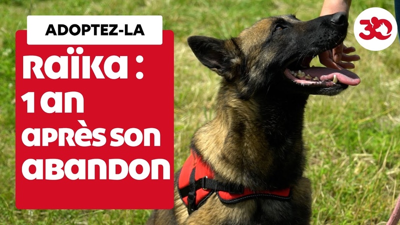 Adoptez la : Raïka fête un triste