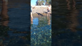 Рыбачу с берега в прозрачной воде Чёрное море Грузия #море #travel #beach #fishing