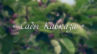 Сады Кавказа