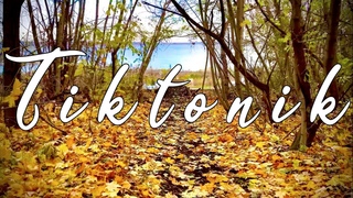 Trail Tiktonik - Ulyanovsk