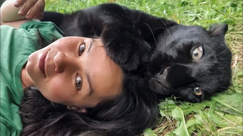 Meeting with Vikulya Does Luna the panther recognize herself ( ENG