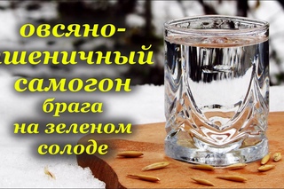 Овсяно-пшеничный самогон, осахаривание зеленым солодом, алкогольный напиток