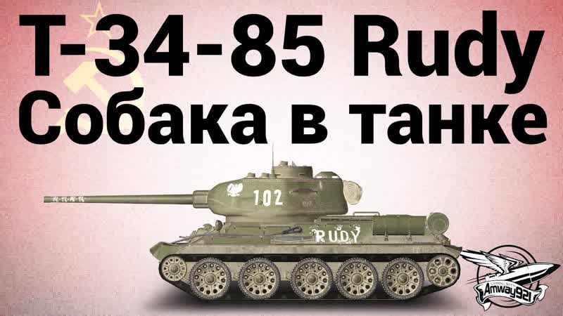 Т 34 85 Rudy Собака в