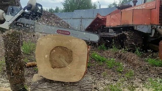 Портированная Zimani 372XP VS Husqvarna 572XP VS Holzfforma G660
