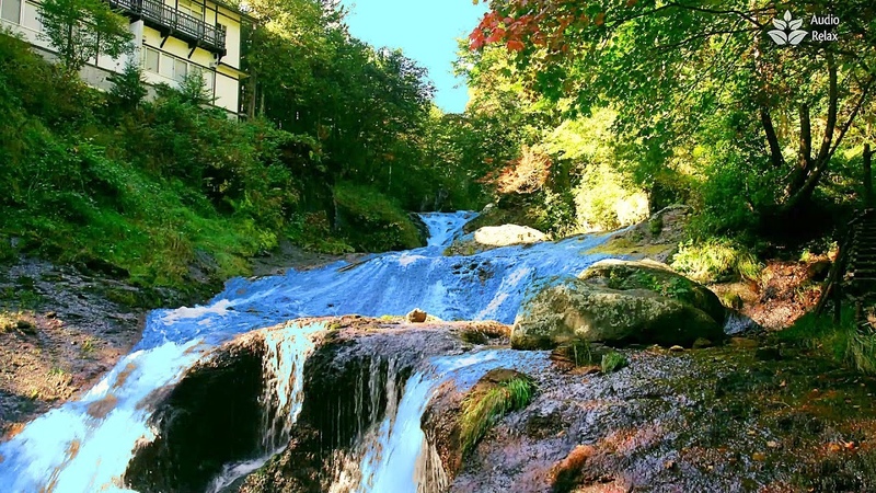 Nature Sounds 10 Hours of Green Forest and river