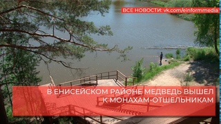 В ЕНИСЕЙСКОМ РАЙОНЕ МЕДВЕДЬ ВЫШЕЛ К МОНАХАМ- ОТШЕЛЬНИКАМ