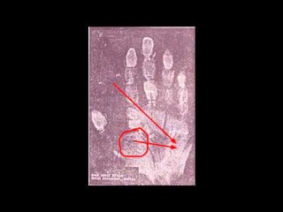 Гитлер. хиромантия. анализ руки. Adolf Hitler palmistry