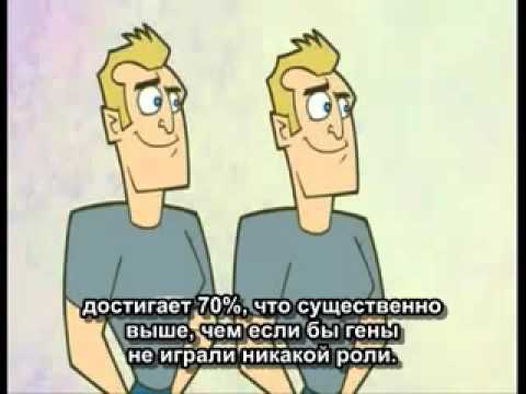 Откуда берутся